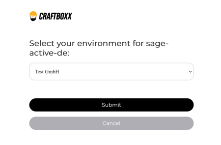 Schnittstellen_Sage4